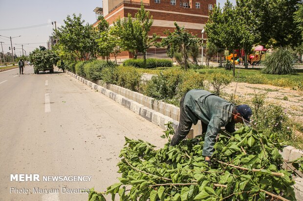 Silkworm farm in NE Iran