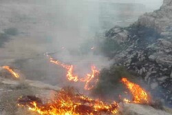 آتش سوزی در منطقه جنگلی پیرداود ورزقان مهار شد