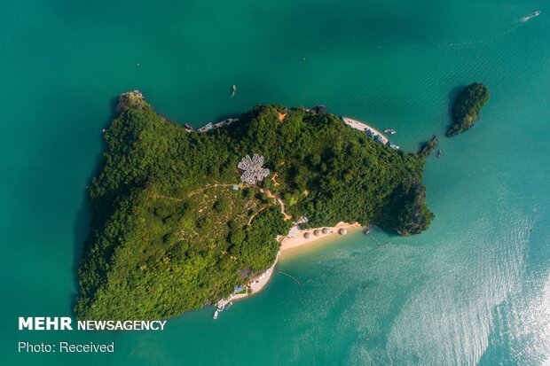 جزیره ولز وانگ ، ویتنام