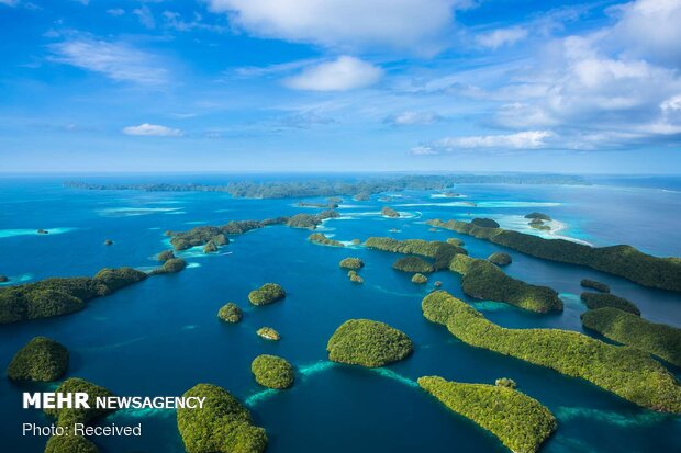 جزیره پالائو