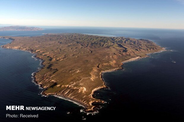 جزیره سانتا کروز ، آمریکا