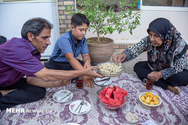Harvesting mulberry trees in Yazd