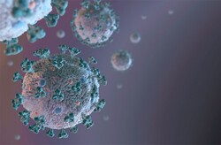 کووید ۱۹ با آلوده کردن سلول های ایمنی موجب التهاب می شود