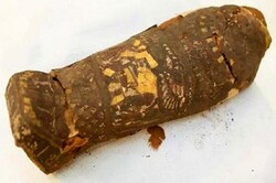 مومیایی ۲۱۰۰ ساله مصری جنین نوزاد نارس است