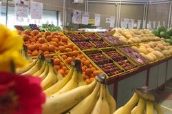 ساخت بازارهای جدید میوه و تره بار با رعایت استانداردهای محیط زیست