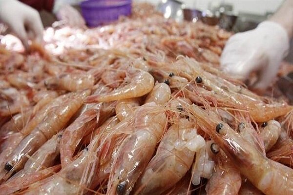 Iran’s re-export of fishery products to EU kicks off despite US sanctions