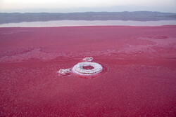Maharlu Lake in pink color with breathtaking views in Fars prov.