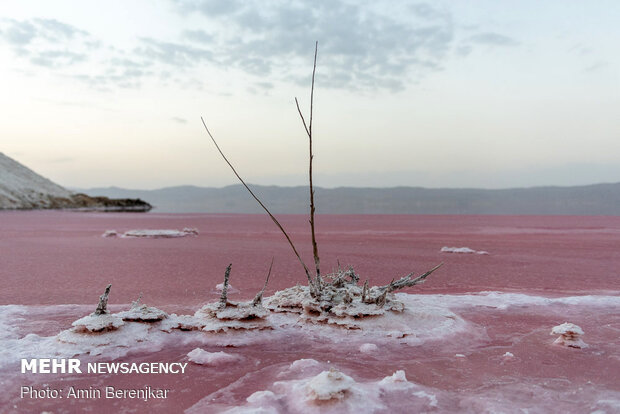 البحيرة الوردية / صور