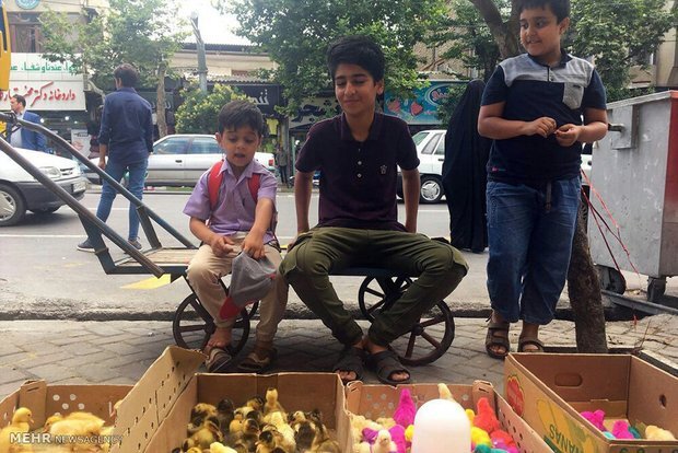 وعده حذف کودکان کار اصفهان طی ۲ هفته از خیابان‌ها