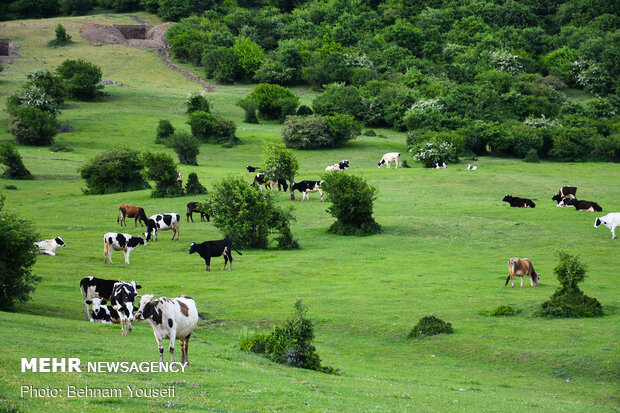 Picturesque Sooha Lake in Ardabil province