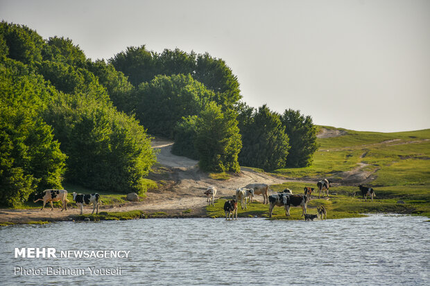 Picturesque Sooha Lake in Ardabil province