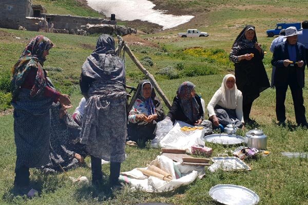 برق عشایر با کمک پنل خورشیدی تأمین شود

