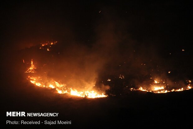 آتش سوزی در مراتع بهارستان شهرستان جم تحت کنترل است