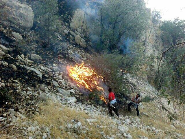 آتش سوزی در منطقه تنگ بستانک/ حریق مهار شد