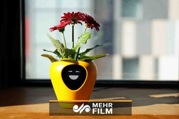 گلدان هوشمند برای فهمیدن حال گیاهان