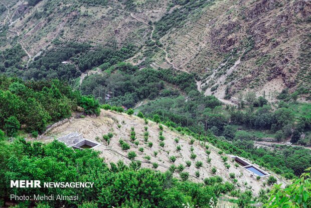 Agricultural products of Tarom, Zanjan province