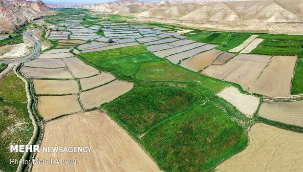 Agricultural products of Tarom, Zanjan province