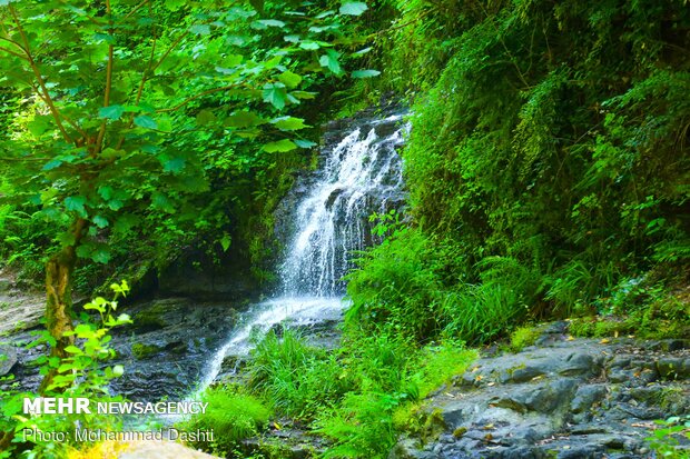 Impressive Zomorrod waterfall in N Iran