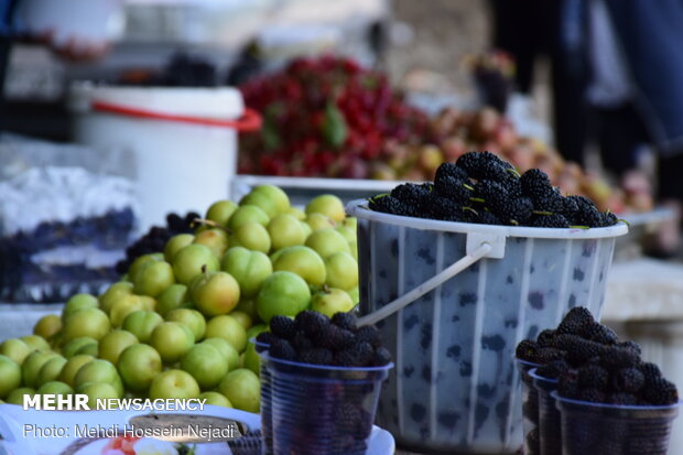 فروش تمشک و آلوچه جنگلی در حاشیه جاده حیران