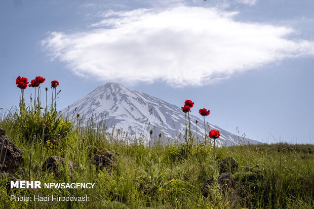 Eye-catching beauty of Lar National Park
