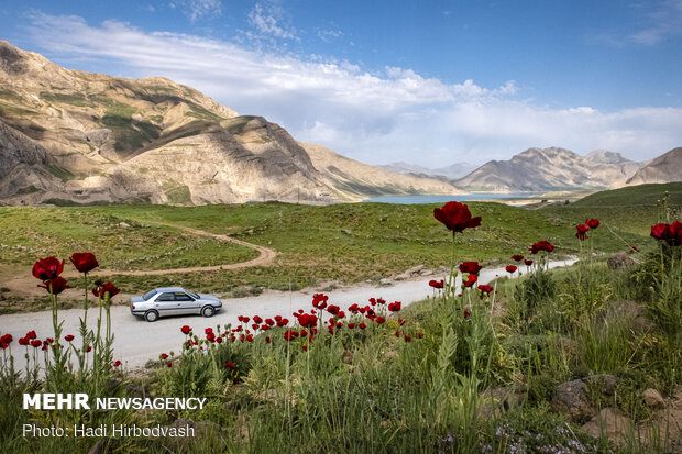 Eye-catching beauty of Lar National Park
