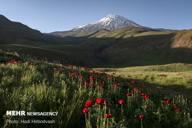 Eye-catching beauty of Lar National Park
