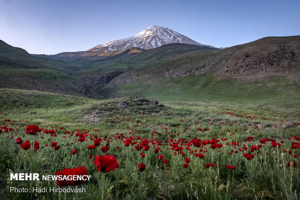 Eye-catching beauty of Lar National Park
