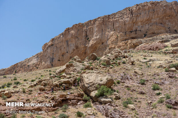 ورزش هایلاین