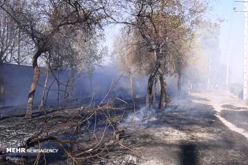 مهار حریق گسترده در روستای رشمه گرمسار/۱۰۰ اصله درخت سوخت