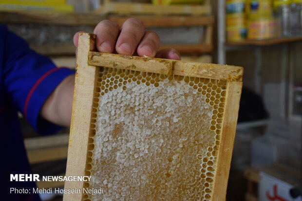 Producing honey in Heyran pass NW Iran 