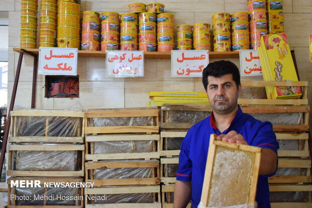 Producing honey in Heyran pass NW Iran 