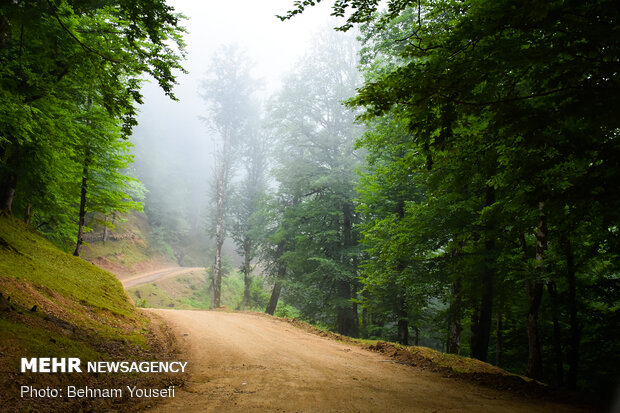 Breathtaking scenery of Gilan Province
