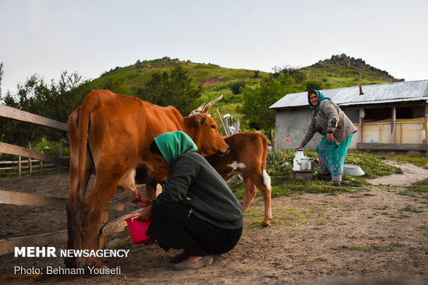 Breathtaking scenery of Gilan Province
