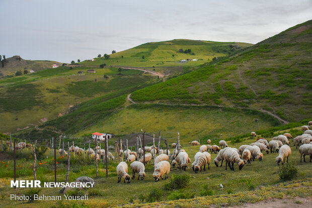 Breathtaking scenery of Gilan Province
