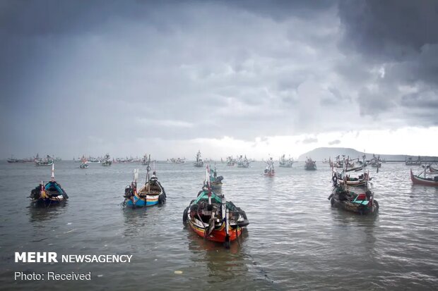 برندگان مسابقه عکاسی با موضوع آب ۲۰۲۰