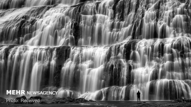 برندگان مسابقه عکاسی با موضوع آب ۲۰۲۰