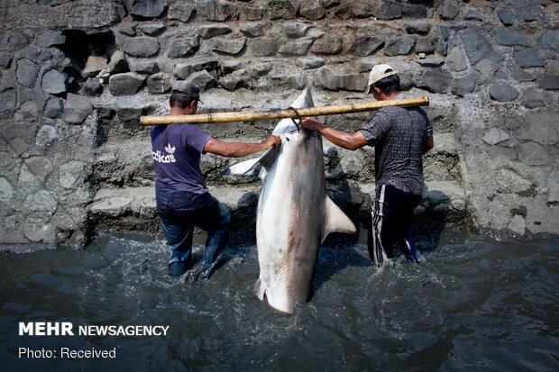 برندگان مسابقه عکاسی با موضوع آب ۲۰۲۰