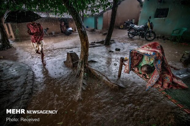 برندگان مسابقه عکاسی با موضوع آب ۲۰۲۰