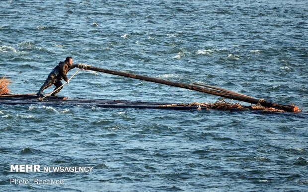 برندگان مسابقه عکاسی با موضوع آب ۲۰۲۰