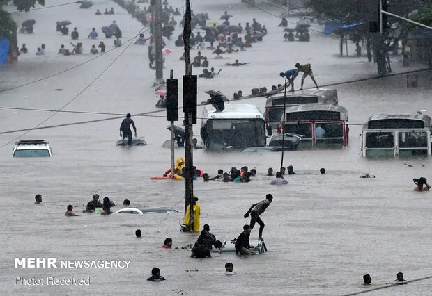 برندگان مسابقه عکاسی با موضوع آب ۲۰۲۰
