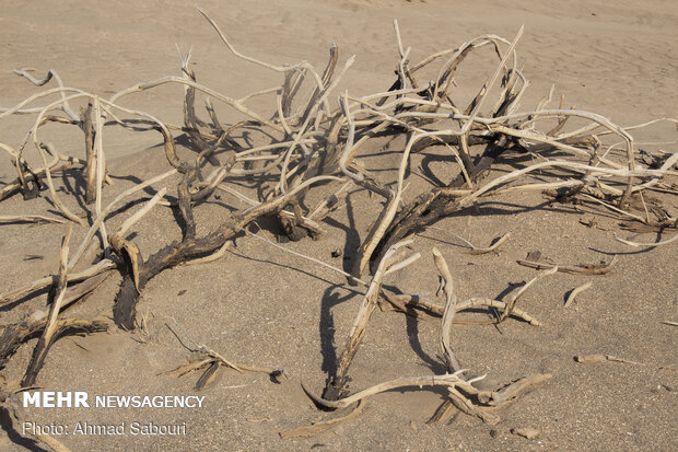 Shoorab desert in Semnan province