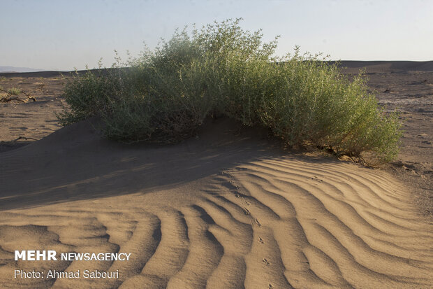 Shoorab desert in Semnan province