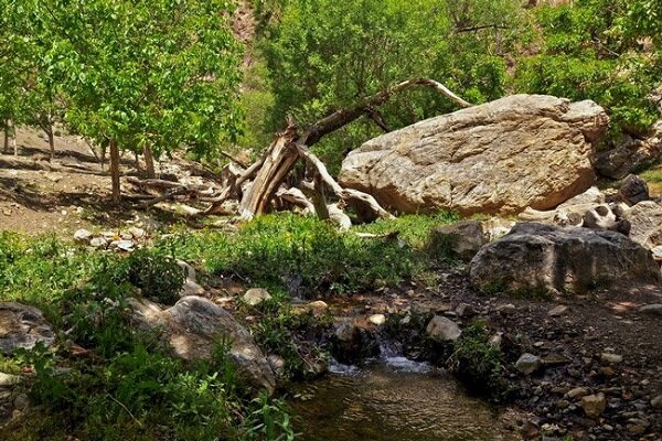 مسیر «دره سبزرود» در شهرستان سرایان بازگشایی شد