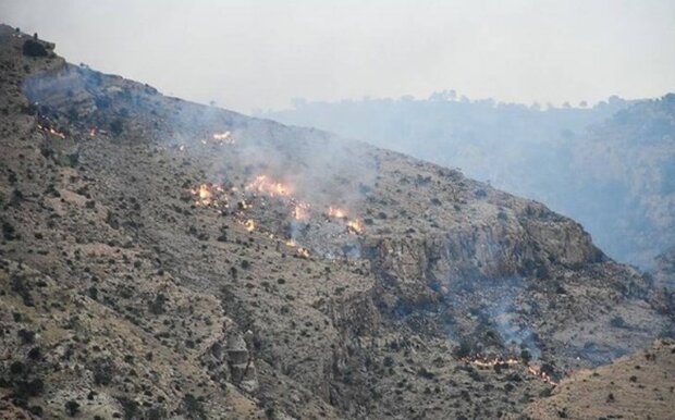 مهار آتش سوزی در منطقه چاه فعله غربی شهرستان بندرعباس 