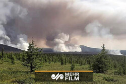 VIDEO: Siberian forests on fire