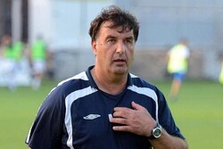 Miso Krsticevic