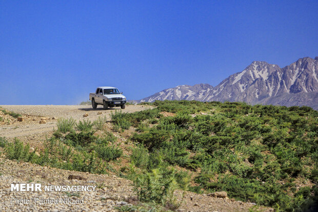 Visiting source of Iran’s longest river