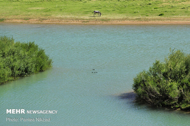 Visiting source of Iran’s longest river