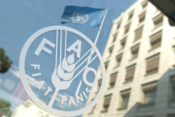 FAO shares knowledge with Iran in Early Warning Action system