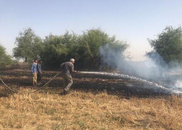 حریق مزرعه گندم جنب باغ پرندگان اصفهان تلفات جانی نداشت